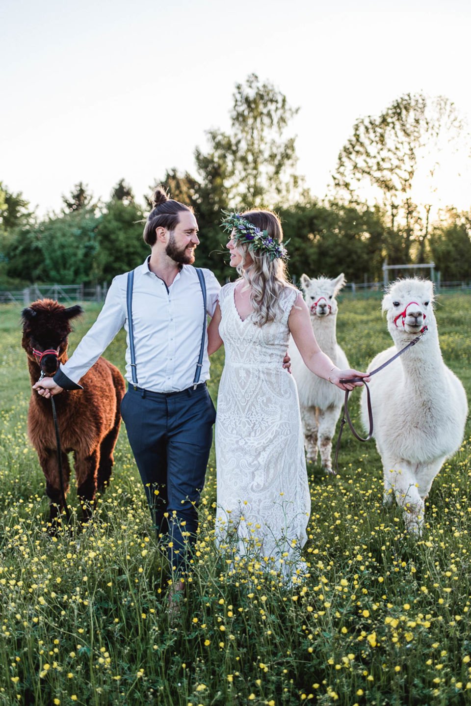 Alpaka Hochzeit, Brautpaar mit drei Alpakas auf der Wiese