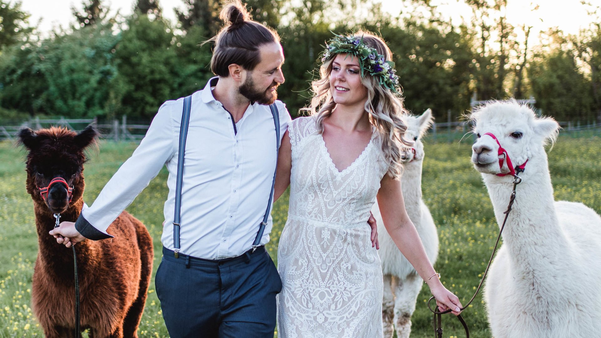 Brautkleid mit Spitze im Paisleymuster und Alpakas zur Hochzeit