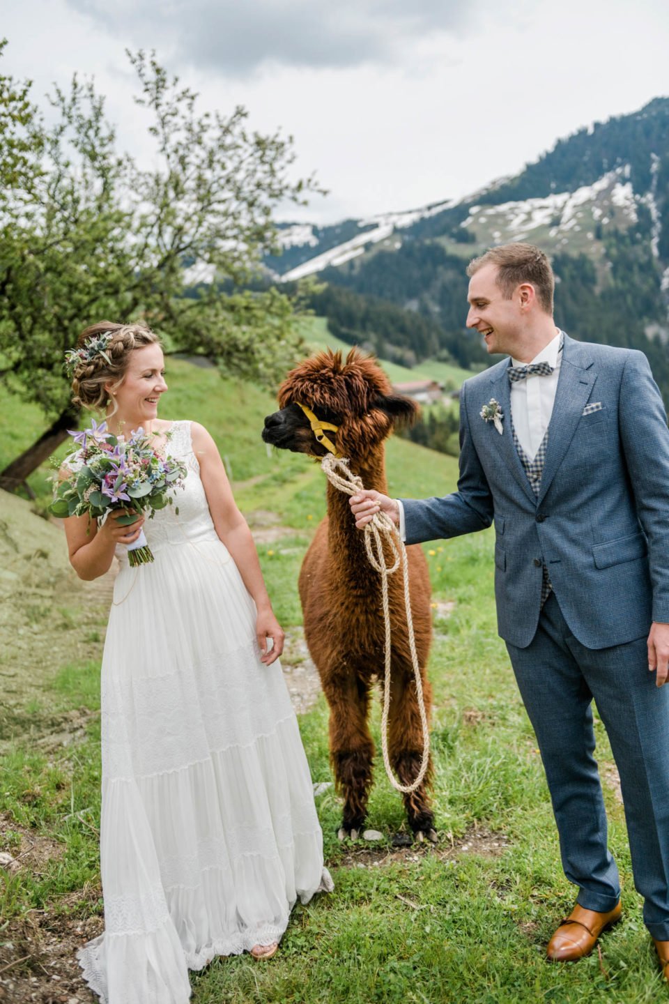 Hochzeit im Mai; Brautpaar mit Alpaka